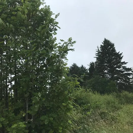 Homestay Pat's Place *