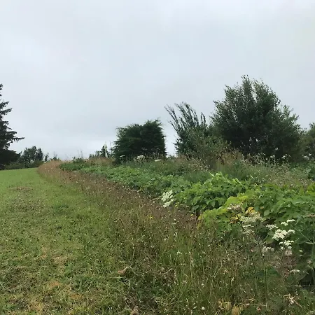 Pat's Place Ballaghaderreen