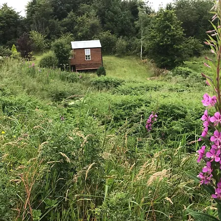 Homestay Pat's Place *