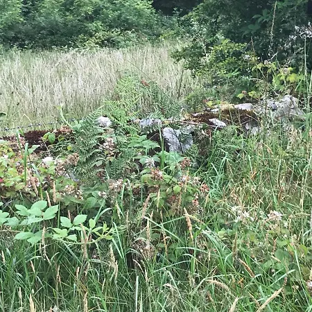 Homestay Pat's Place