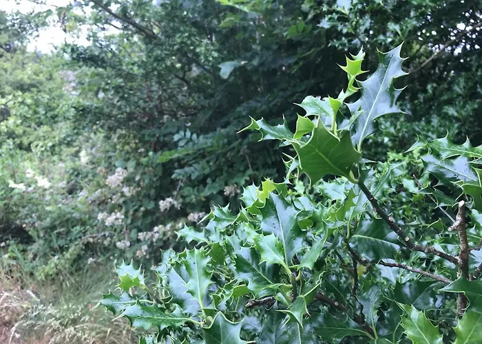 Pat's Place Séjour chez l'habitant *