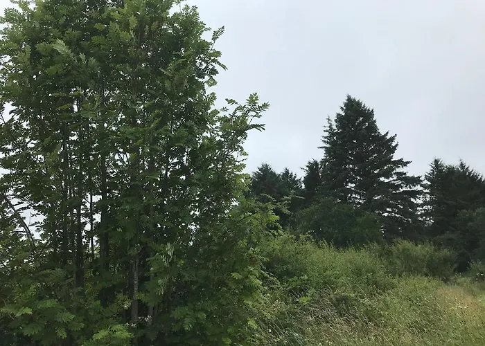 Homestay Pat's Place *