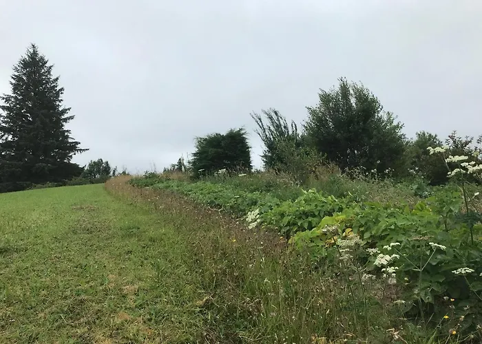 Pat's Place Ballaghaderreen