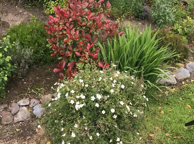 Pat's Place * Ballaghaderreen