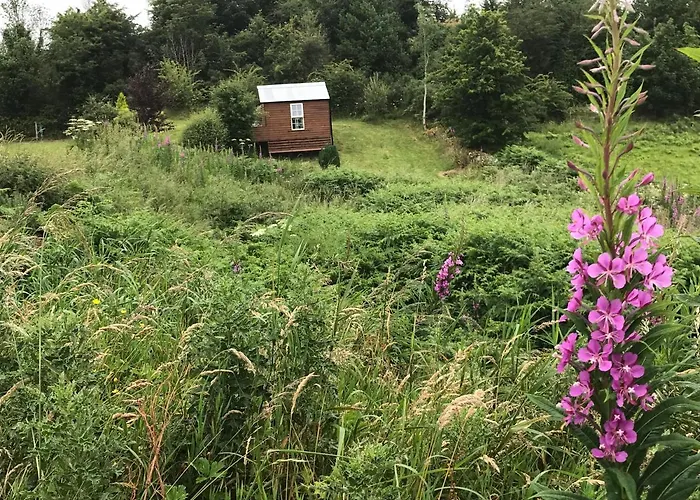 Séjour chez l'habitant Pat's Place *