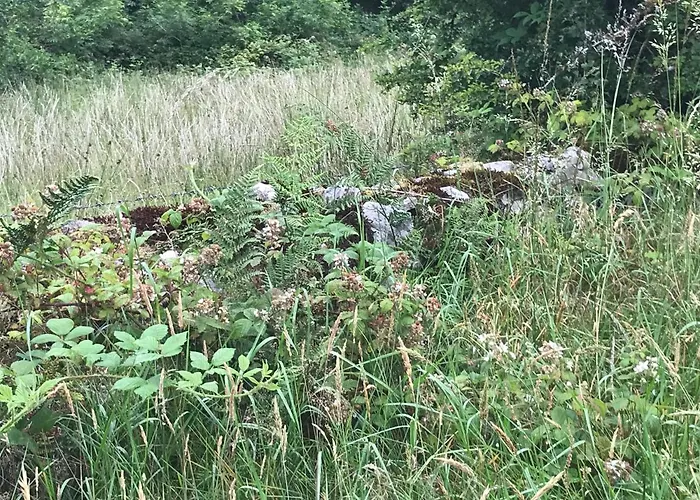 Homestay Pat's Place